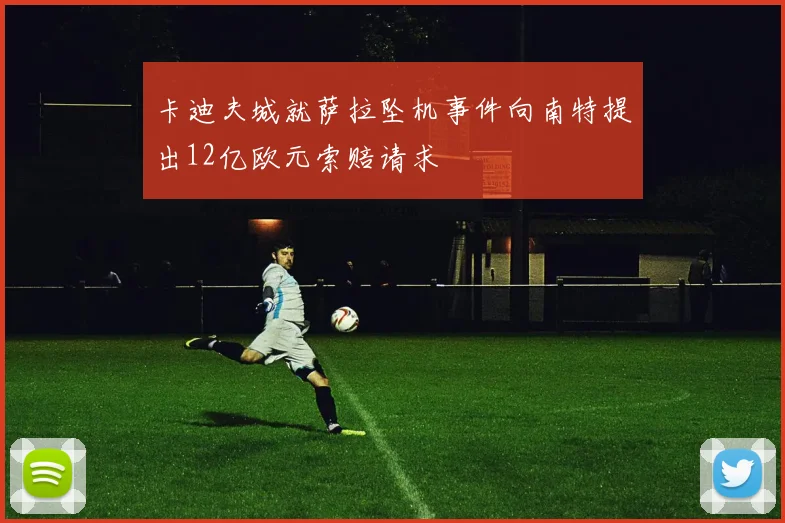 卡迪夫城就萨拉坠机事件向南特提出12亿欧元索赔请求