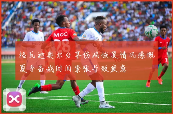 格瓦迪奥尔分享伤病恢复情况感慨夏季备战时间紧张导致疲惫