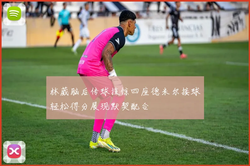 林葳脑后传球技惊四座德米尔接球轻松得分展现默契配合