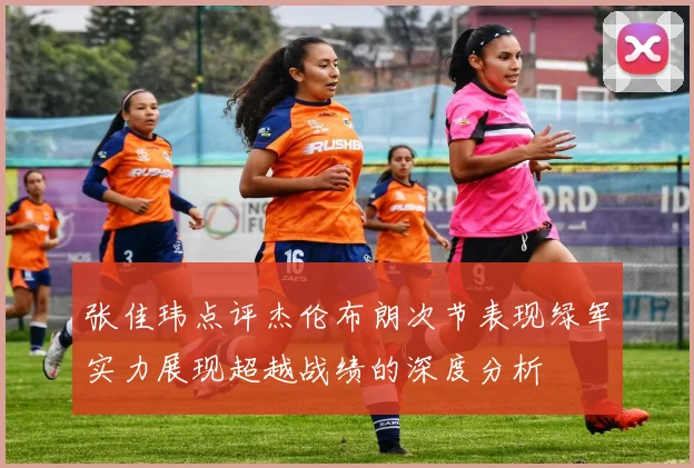 张佳玮点评杰伦布朗次节表现绿军实力展现超越战绩的深度分析