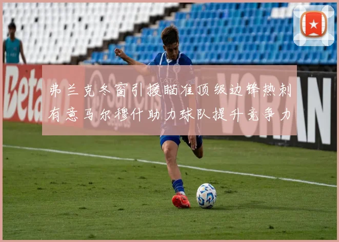 弗兰克冬窗引援瞄准顶级边锋热刺有意马尔穆什助力球队提升竞争力