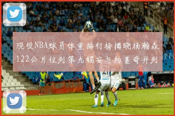 现役NBA球员体重排行榜揭晓杨瀚森122公斤位列第九锡安与约基奇并列第三